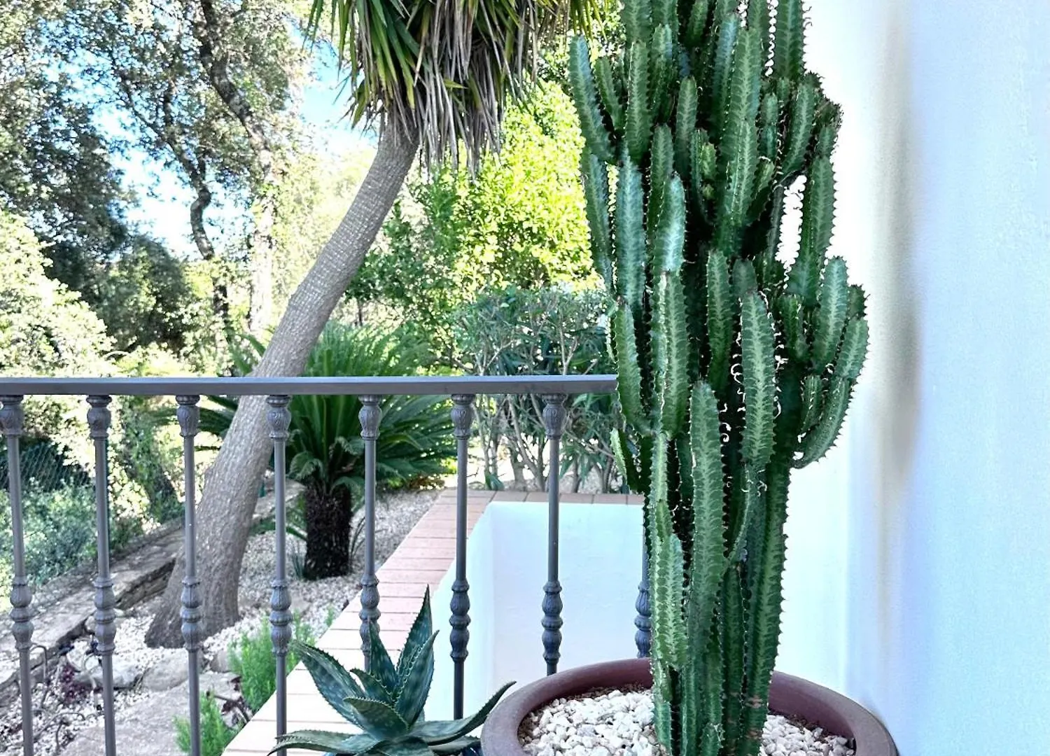Algarve Country Villa Near Loule, Stunning Views Romao